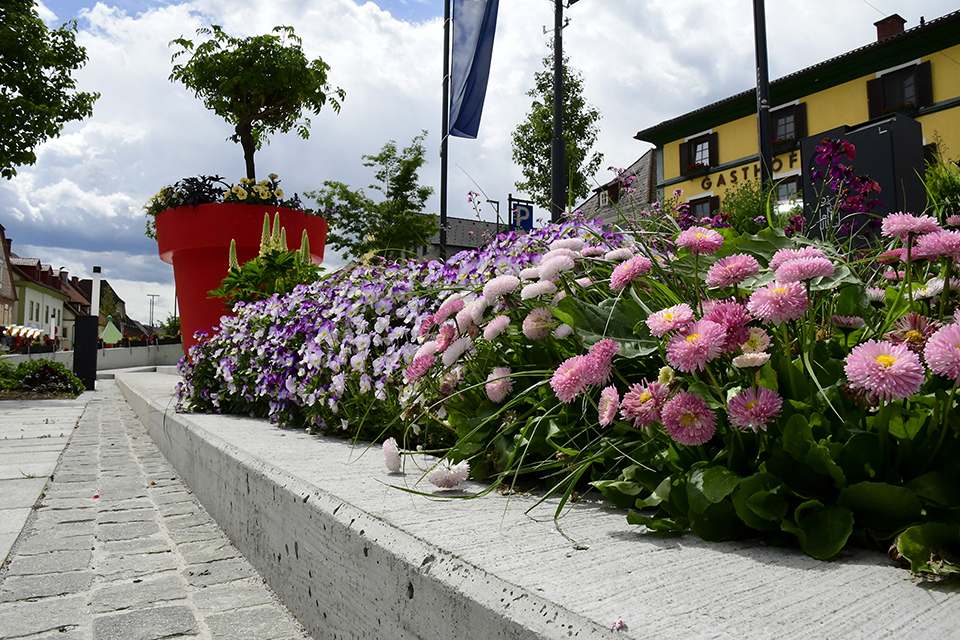 Blumen Kindberg